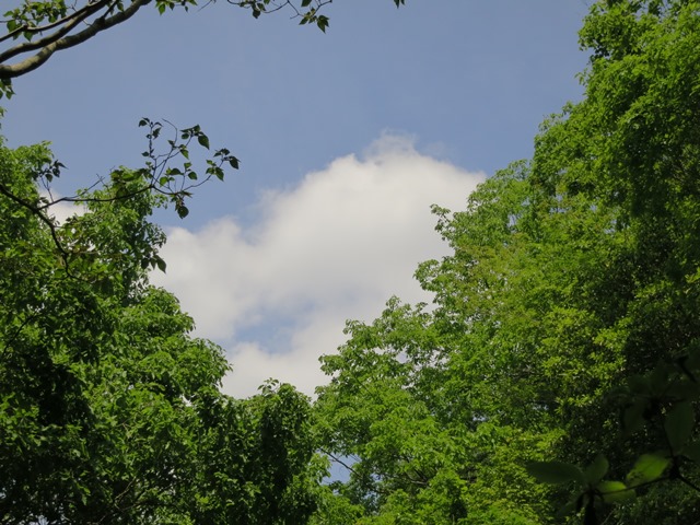 e0017051_7273224.jpg