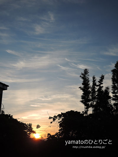 a0286855_6451752.jpg
