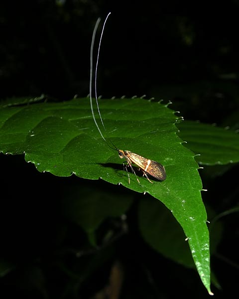 e0035757_18462811.jpg