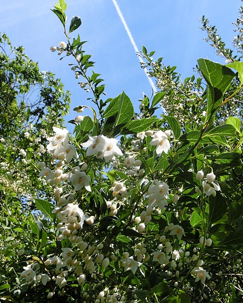 e0035757_18471128.jpg