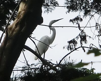 e0035757_18485216.jpg