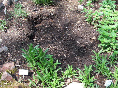 e0088260_10153350.jpg