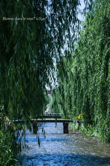 f0251765_1494941.jpg