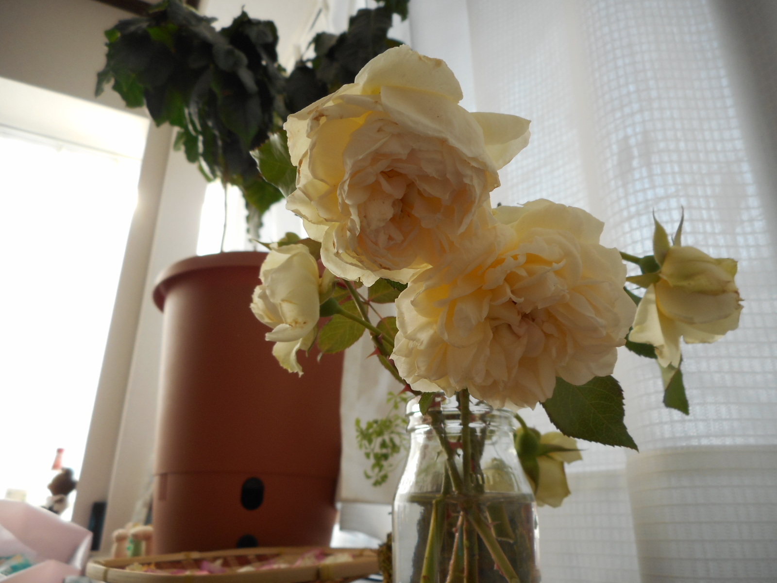 c0336266_07142938.jpg