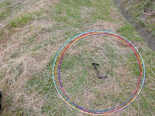 e0002466_19103687.jpg