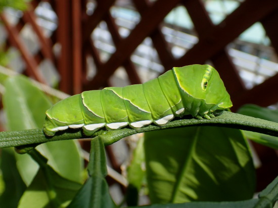 c0122670_23455942.jpg