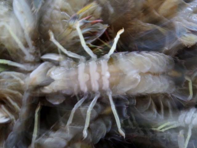 c0183777_2131257.jpg