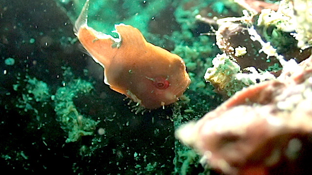 f0151886_17371017.jpg