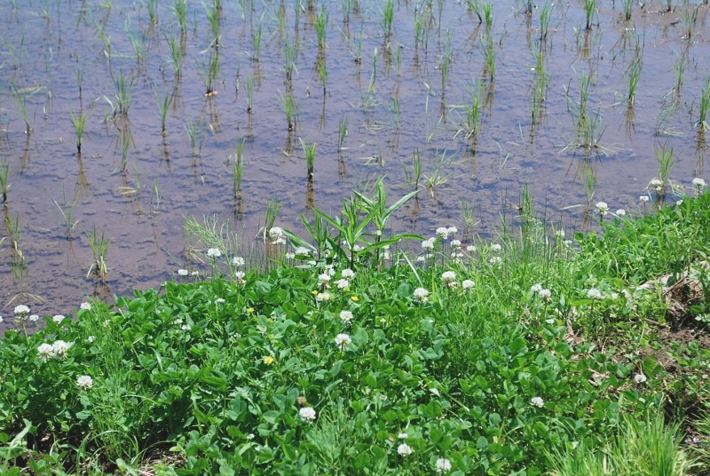 e0025300_17173159.jpg