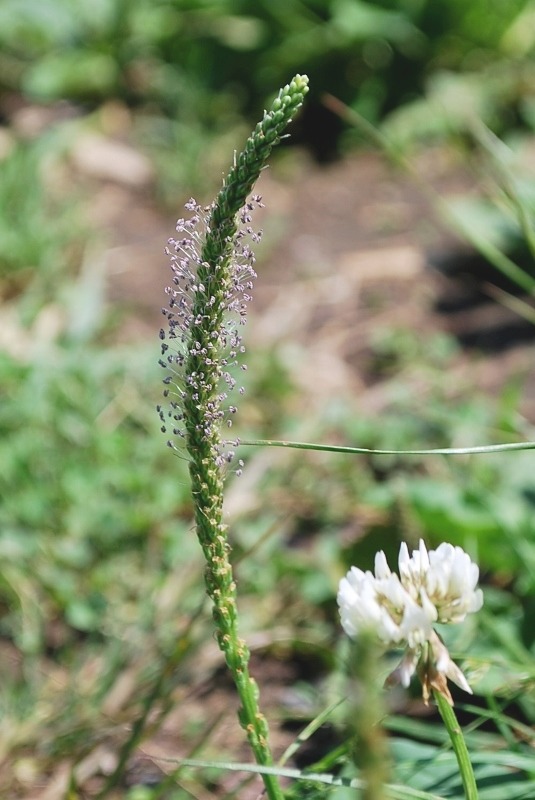 e0025300_17345259.jpg