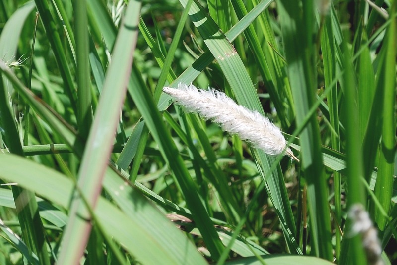 e0025300_17431627.jpg