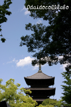 b0238306_12451651.jpg