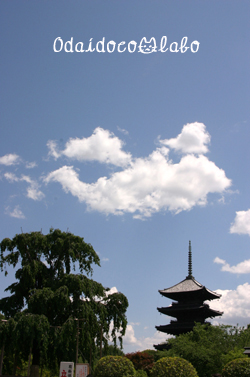 b0238306_12453573.jpg