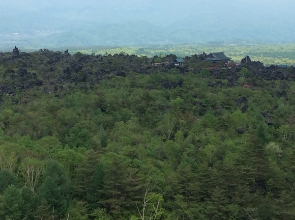 d0149306_8532680.jpg