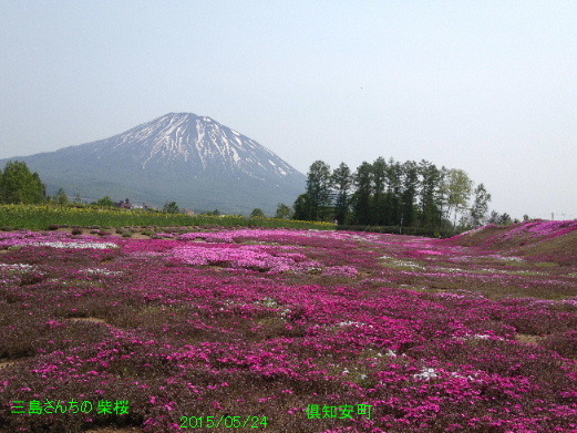 a0337807_21231904.jpg