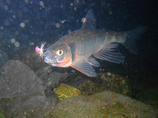e0123808_2151121.jpg