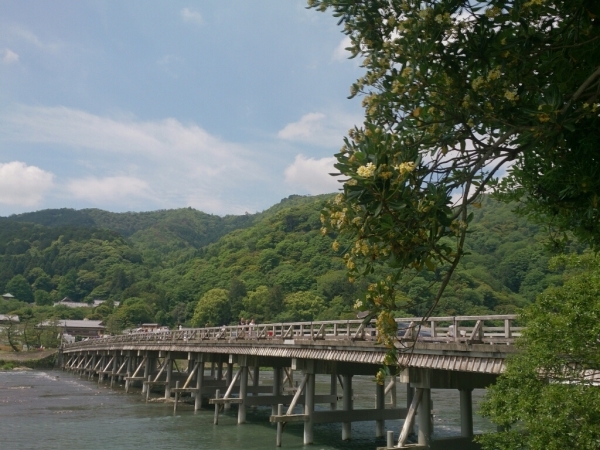c0352015_20081428.jpg