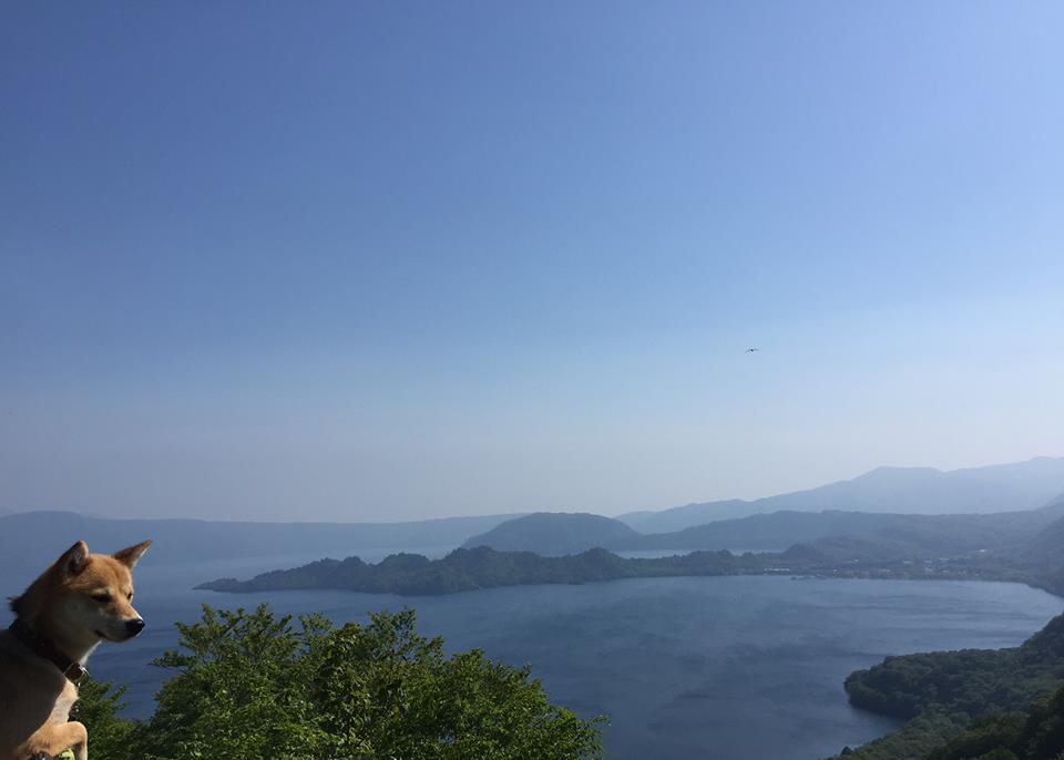 e0162117_17262990.jpg