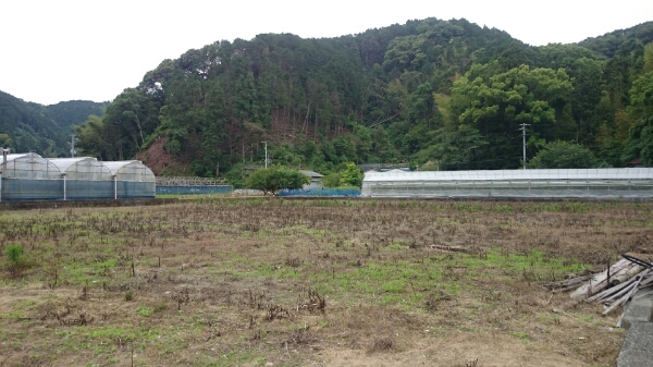 b0187620_22275722.jpg