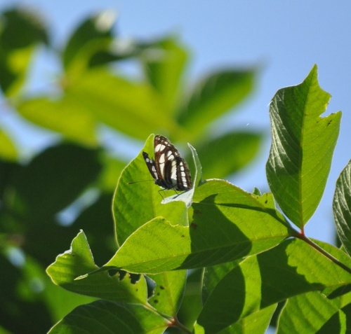 a0248728_065848.jpg