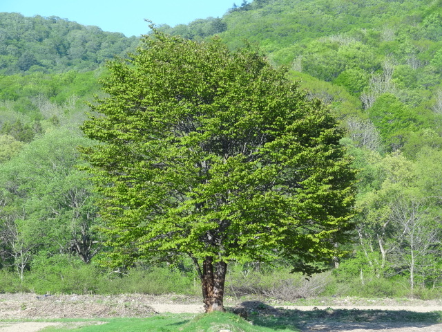 e0016828_11082225.jpg