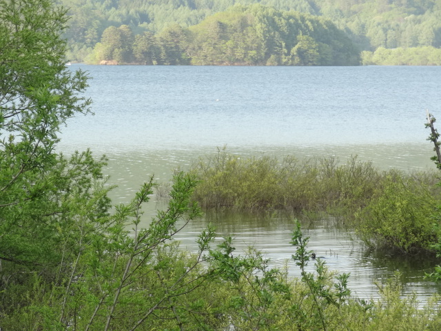 e0016828_11083414.jpg