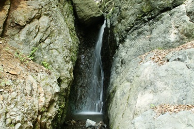 e0033229_2232191.jpg