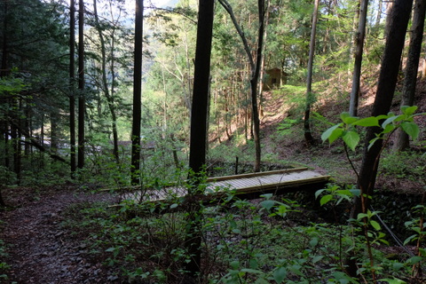 b0281732_726711.jpg