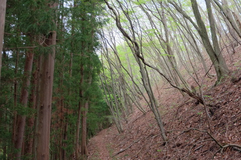 b0281732_7273552.jpg