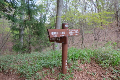 b0281732_7282222.jpg