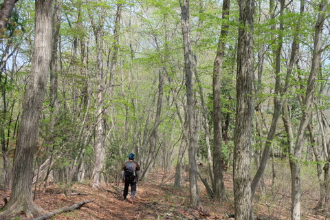 b0281732_7291654.jpg