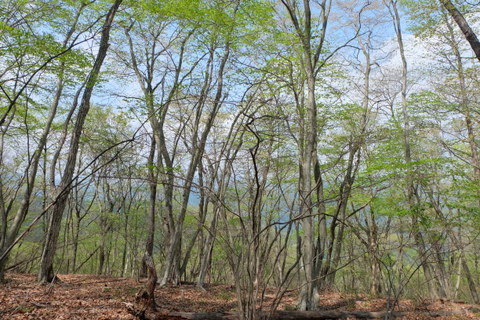 b0281732_7292316.jpg