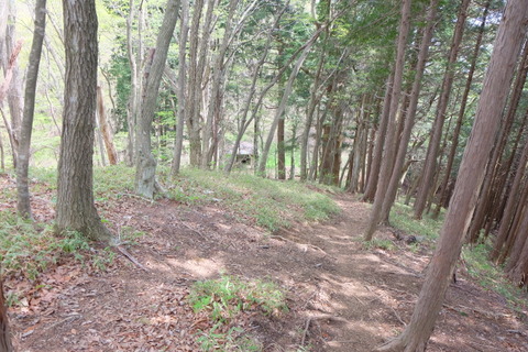 b0281732_729344.jpg