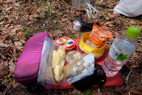 b0281732_7301430.jpg