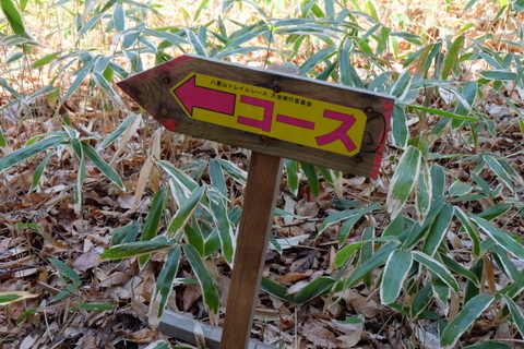 b0281732_730229.jpg