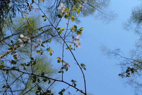 b0281732_7311059.jpg