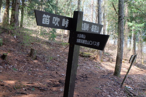 b0281732_731482.jpg