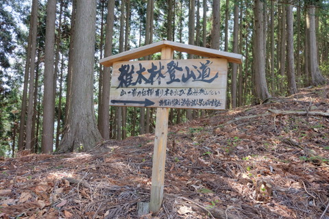 b0281732_7315588.jpg
