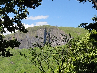 c0147935_20252964.jpg