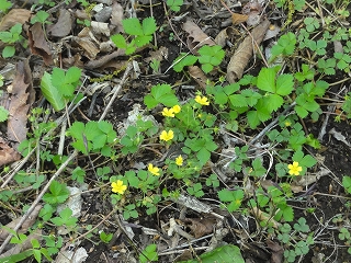 c0147935_2036260.jpg