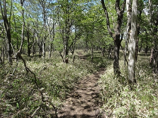 c0147935_20424934.jpg