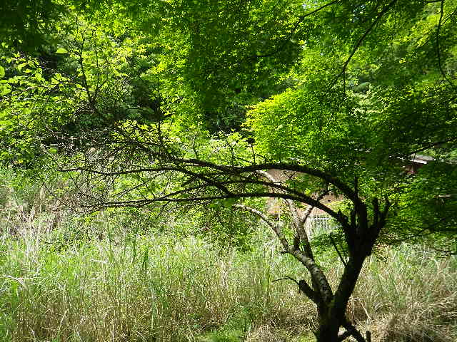 c0183137_18135491.jpg