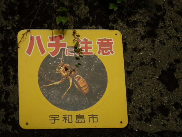 c0183137_18231099.jpg