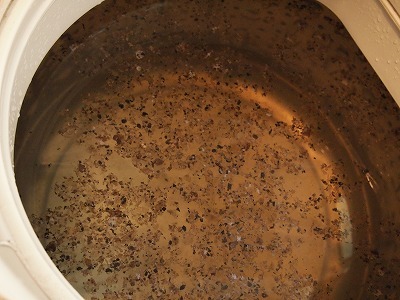 b0141240_14290756.jpg