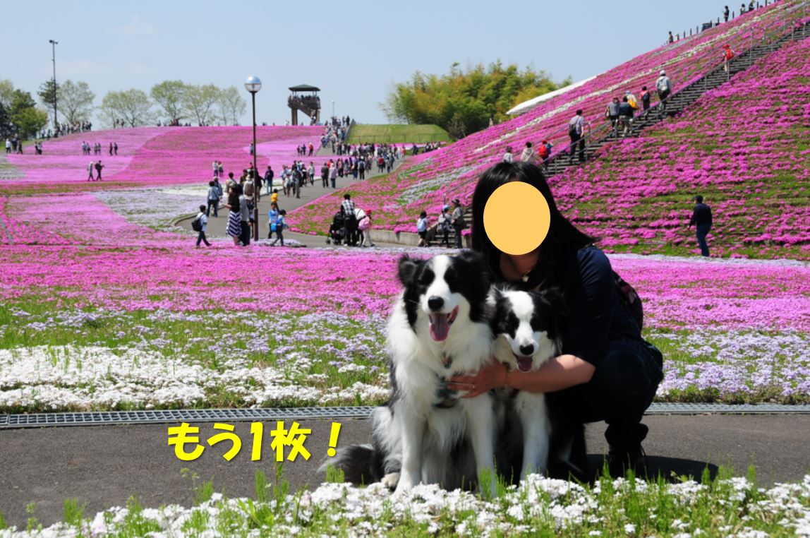 c0147241_15132141.jpg