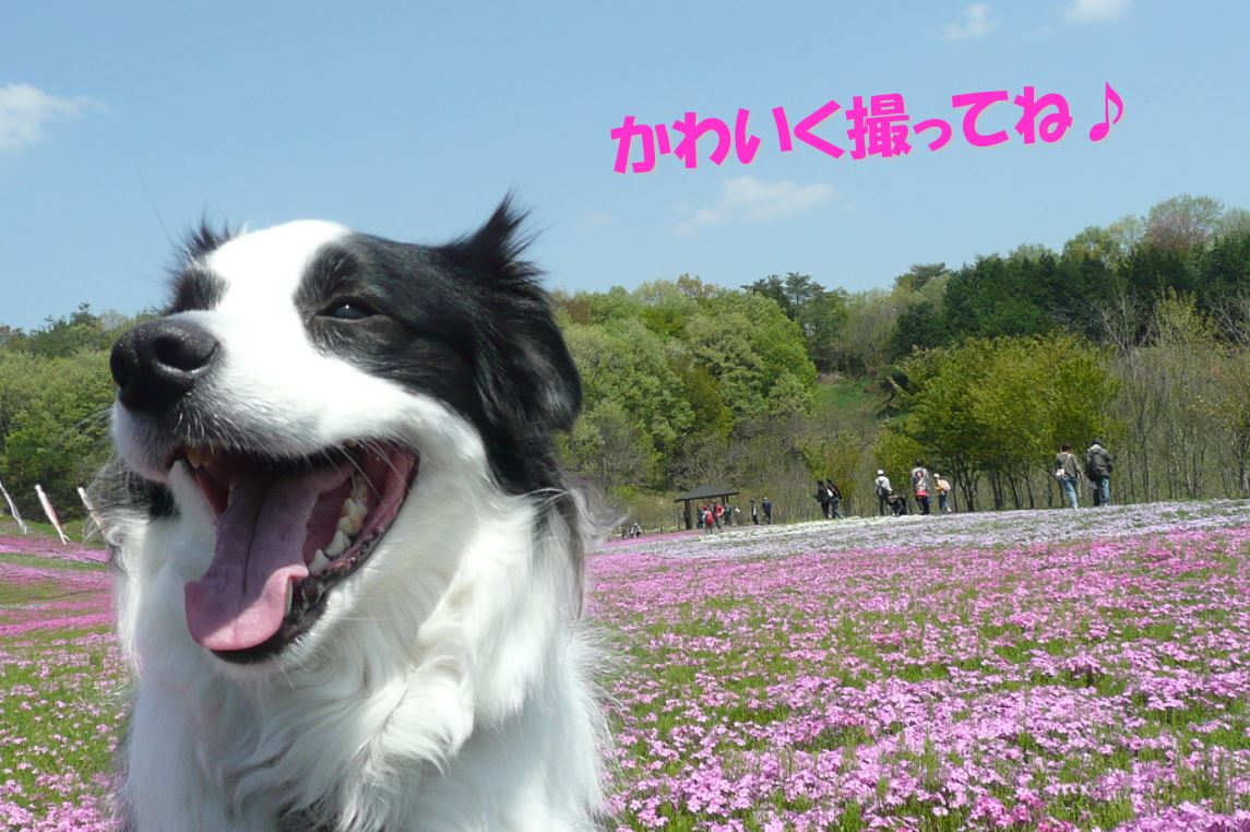 c0147241_15134553.jpg