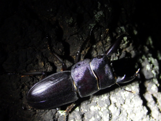 f0104042_10171287.jpg