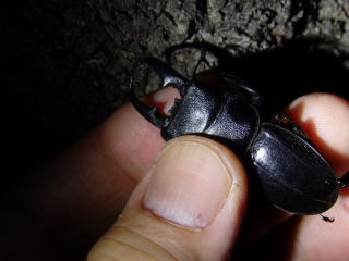 f0104042_10171870.jpg