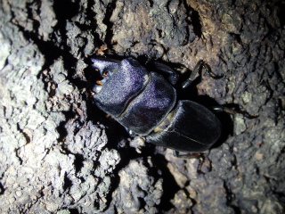 f0104042_10174289.jpg