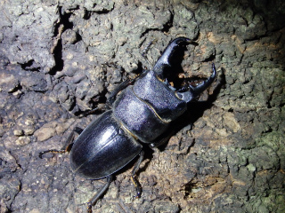 f0104042_10174423.jpg